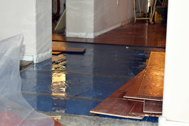 Professional Burst Pipe Cleanup technician working in Livonia, MI