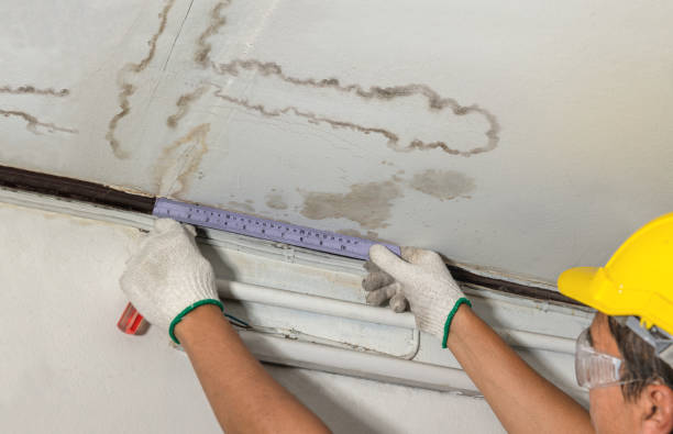 Reliable Burst Pipe Cleanup contractor in Livonia, MI by Local Water Damage Repair